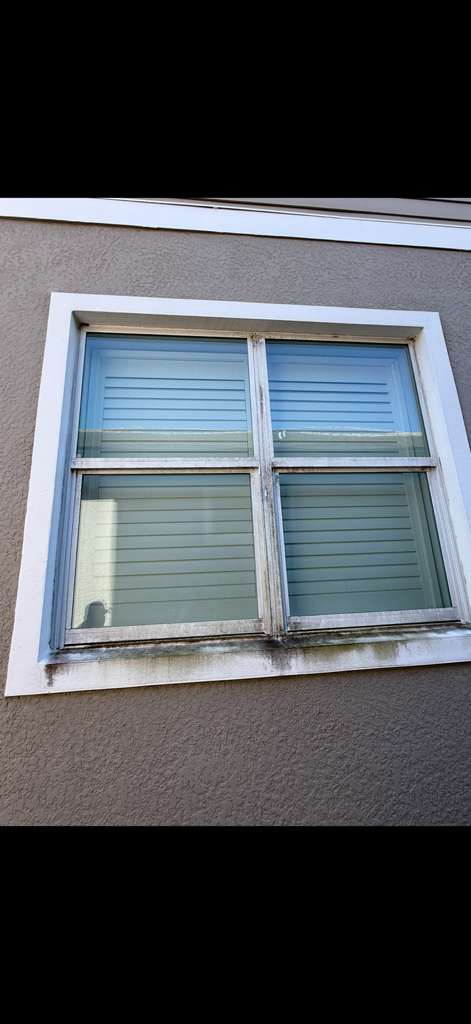Before: algae-stained window trim