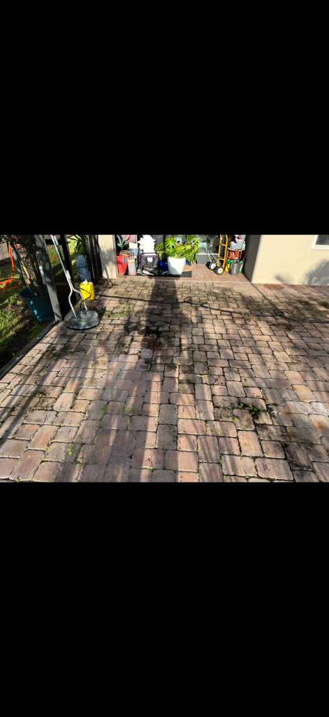 Before: moldy terracotta pavers